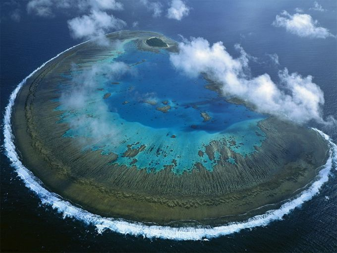 Lady Musgrave Island - Great Barrier Reef