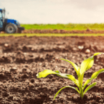 How Climate Change Is Affecting Australian Agriculture Sector