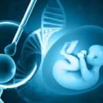 AI-assisted embryo selection