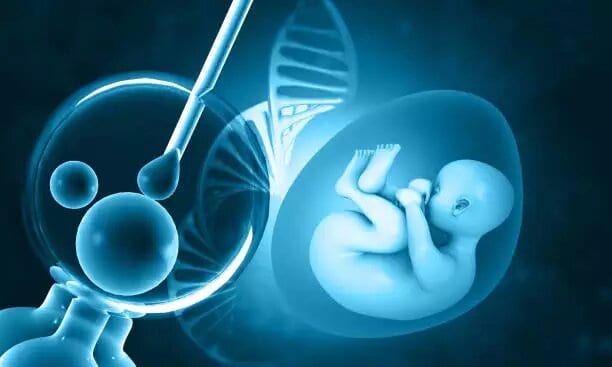 AI-assisted embryo selection