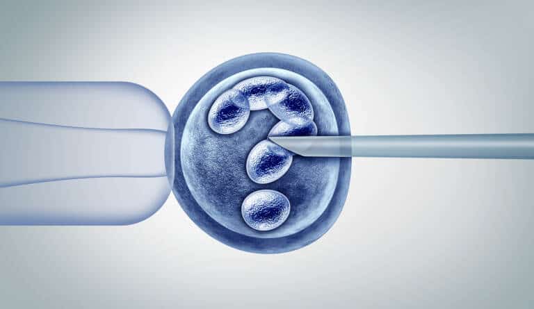 Fix for AI assisted IVF