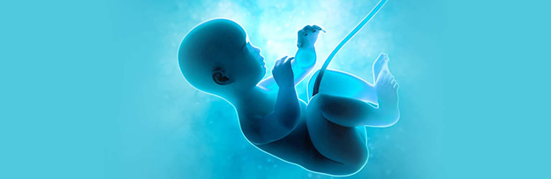 Artificial Intelligence in Improving IVF 