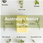 How Australia’s Native Ingredients Taste